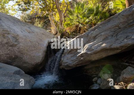 Palm Springs, Stati Uniti. 12th Nov 2022. Canyon indiani di Palm Springs, California. Foto Stock