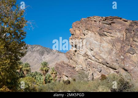 Palm Springs, Stati Uniti. 12th Nov 2022. Canyon indiani di Palm Springs, California. Foto Stock