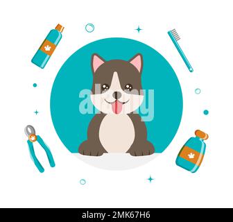 Banner gruppo di cute cane attrezzi e forniture in stile piatto vettore. illustrazione per la cura degli animali domestici per contenuto, etichetta, banner, grafica e biglietto d'auguri. Illustrazione vettoriale Illustrazione Vettoriale