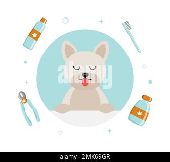Banner gruppo di cute cane attrezzi e forniture in stile piatto vettore. illustrazione per la cura degli animali domestici per contenuto, etichetta, banner, grafica e biglietto d'auguri. Illustrazione vettoriale Illustrazione Vettoriale