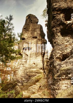 Faccia rocciosa. Bellissimo autunno a Tisa Rocks. Le montagne di arenaria calcarea nella Boemia settentrionale, Repubblica Ceca Foto Stock