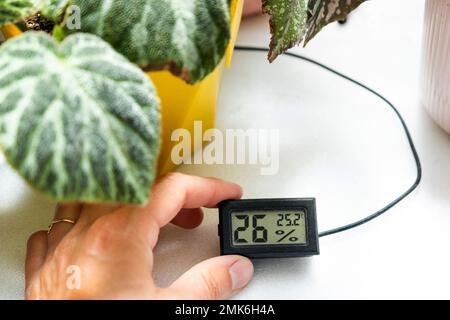 Sensore di umidità e temperatura per la corretta cura delle piante a casa. Begonia deciduo decorativo all'interno della casa. Hobby in crescita, cari Foto Stock