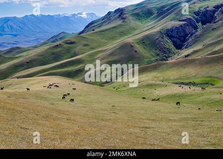 Paesaggio lungo la catena montuosa di At-Bashy, la regione di Naryn, il Kirghizistan Foto Stock