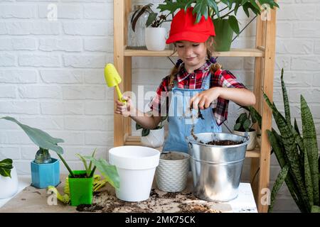 Ragazza trapianta un filodendro di pianta domestica in vaso in un nuovo terreno con drenaggio. Cura delle piante in vaso, irrigazione, fertilizzazione, spruzzare a mano la miscela w Foto Stock