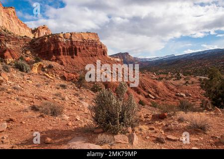 Il Capitol Reef National Park è uno dei 5 parchi nazionali dello Utah, USA. Foto Stock