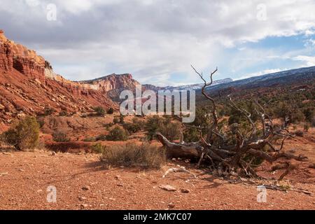 Il Capitol Reef National Park è uno dei 5 parchi nazionali dello Utah, USA. Foto Stock