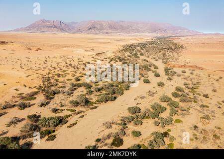 Il letto secco del fiume Ugab taglia attraverso aride pianure desertiche, dietro il Brandberg, la montagna più alta della Namibia, vista aerea, fucilato, Damaraland Foto Stock