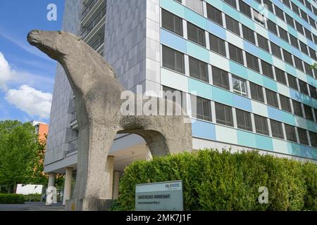 Ufficio federale di statistica, Gustav-Stresemann-Ring, Wiesbaden, Assia, Germania Foto Stock