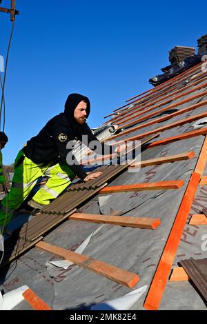 Tegole posate su nuovi bastoni sopra una membrana di sfiato sul tetto della casa ristrutturazione, Regno Unito Foto Stock