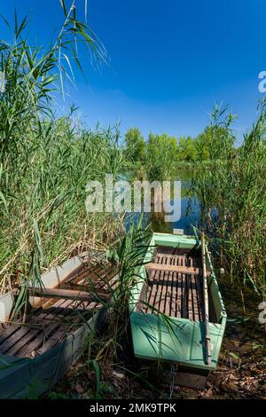 Paesaggio di Tisza in Ungheria Foto Stock