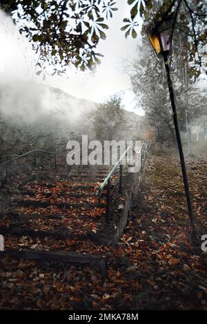 Posto perso. Località abbandonata. Foglie sulle scale, un lampione nella nebbia. Dimenticato nella foresta. Foto di alta qualità Foto Stock