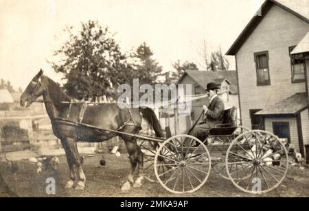 Cavallo e carrozza all'inizio degli anni '1900, cavallo e buggy Foto Stock