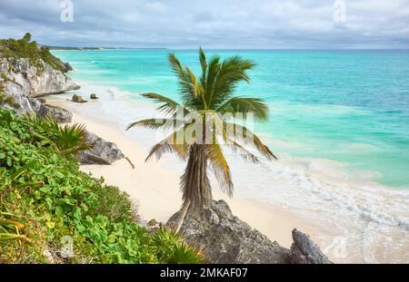 Spiaggia tropicale di Tulum, Penisola dello Yucatan, Messico. Foto Stock