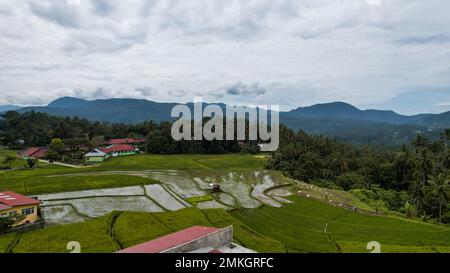 Veduta aerea del campo di riso verde terrazzato a Bukittinggi, Sawah batipuh, sumatra occidentale, Indonesia. Indonesia meravigliosa. Bukittinggi, Indonesia, gennaio Foto Stock