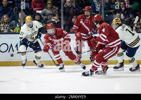 South Bend, Indiana, Stati Uniti. 27th Jan, 2023. I giocatori di Notre Dame e Wisconsin pattinano per il puck durante la partita di hockey NCAA tra i Wisconsin Badgers e i Notre Dame Fighting Irish alla Compton Family Ice Arena di South Bend, Indiana. Notre Dame sconfisse il Wisconsin 5-3. John Mersits/CSM/Alamy Live News Foto Stock