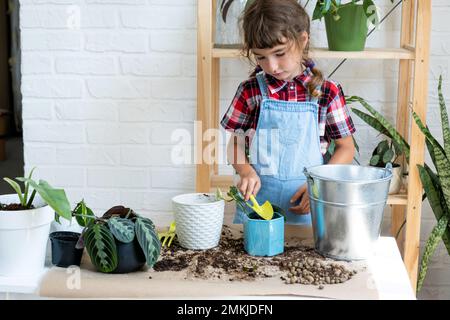 Ragazza trapianta un filodendro di pianta domestica in vaso in un nuovo terreno con drenaggio. Cura delle piante in vaso, irrigazione, fertilizzazione, spruzzare a mano la miscela w Foto Stock