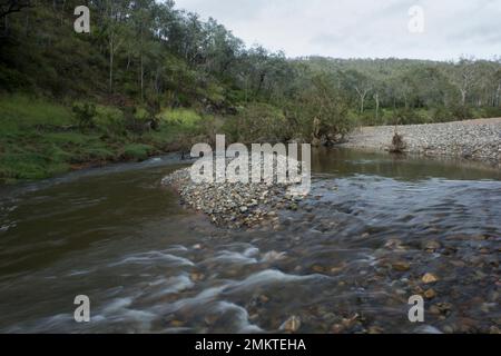 Cascade in EMU Creek presso la Clancy's Camping Area, Benarkin state Forest Blackbutt Range Australia Foto Stock