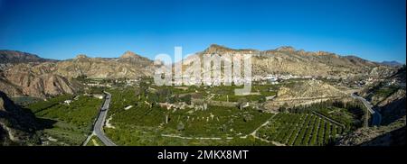 Vista panoramica di una parte della Valle della Ricote con il suo frutteto, le montagne e la città di Ulea sullo sfondo Foto Stock