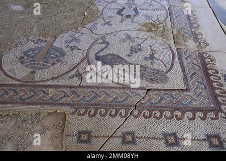 Il pavimento Mosaico nella Cappella del sacerdote Giovanni, Monte Nebo, Giordania, Medio Oriente Foto Stock