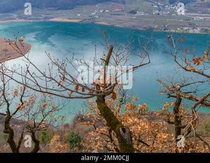 Lago di Caldaro: Vista panoramica sul bellissimo lago nella stagione invernale. Caldaro in Alto Adige, provincia di Bolzano, Trentino Alto Adige, Italia settentrionale Foto Stock