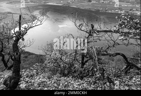 Lago di Caldaro: Vista panoramica sul bellissimo lago nella stagione invernale. Caldaro in Alto Adige, provincia di Bolzano, Trentino Alto Adige, Italia settentrionale Foto Stock