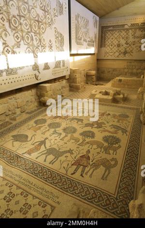 Pavimento a mosaico nella Chiesa commemorativa di Mosè, Monte Nebo, Governatorato di Madaba, Giordania, Medio Oriente Foto Stock