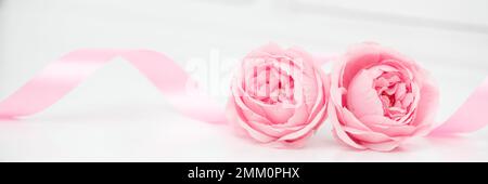 Due rose rosa e nastri isolati su sfondo bianco, San Valentino Foto Stock