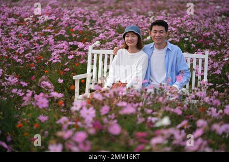 Sorridi i giovani amanti asiatici seduti su panca circondata da fiori rosa galsang in giardino, guardando la macchina fotografica Foto Stock