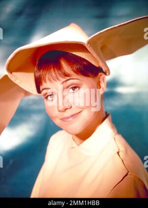 SALLY FIELD in THE FLYING NUN (1967), diretto da JEROME COURTLAND e JERROLD BERNSTEIN. Credito: Screen Gems Televisione / Album Foto Stock