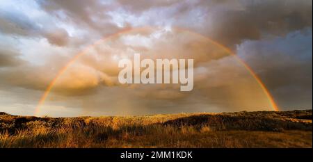 Arcobaleno intero al tramonto nel paesaggio delle dune a Oostkapelle, Zeeland, Paesi Bassi Foto Stock