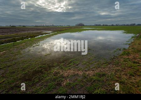 Acqua su terreni agricoli e cielo nuvoloso a Czulczyce Polonia orientale Foto Stock