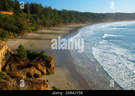 Beverly Beach, Devils Punchbowl state Park, Oregon Foto Stock