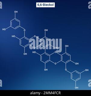 6,6'-Bieckol è una florotannina tipo eckol che si trova nelle alghe brune Ecklonia cava e Ecklonia stolonifera. Illustrazione Vettoriale