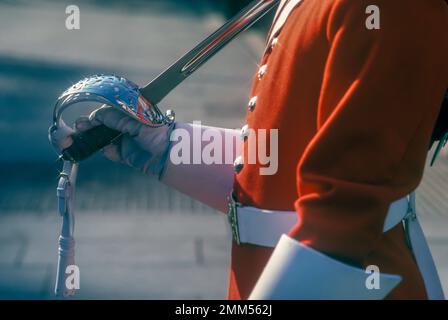 PIEDI FACILE SENTRY SLOPED SPADA UNIFORME CERIMONIALE GUARDIA DI VITA GUARDSMAN GUARDIE A CAVALLO PARADE WHITEHALL LONDRA INGHILTERRA REGNO UNITO Foto Stock