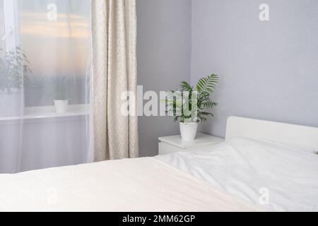 Bella camera bianca moderna arredata con piante verdi con tramonto o alba fuori dalla finestra. Interni bellissimi. Splendida camera d'albergo con vista su splendidi tramonti e albe. Foto Stock