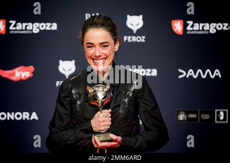 X Edición de los Premios Feroz celebrados el pasado 28 de enero en Zaragoza, España. Lo mejor de la producción audiovisivi española del año. Foto Stock