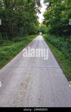 Strada a Puszcza Bolimowska - Foresta di Bolimow - complesso forestale ai margini della provincia di Masovia e Lodz in Polonia Foto Stock