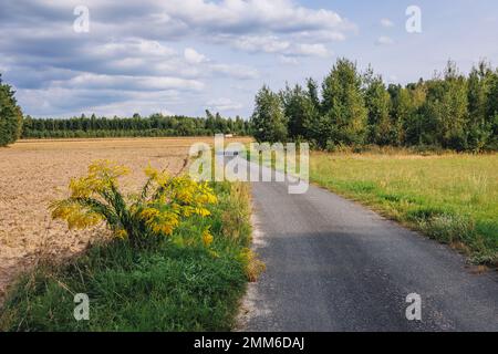 Strada di campagna nel villaggio di Dworzno vicino alla città di Mszczonow, Zyrardow County, Polonia Foto Stock