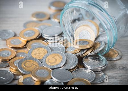 Versato dal vaso di risparmio, denaro polacco, zlotys versato, Piggy banca, risparmio di denaro, Teste nere Foto Stock