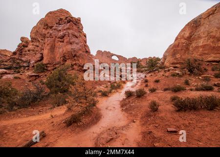 Lo skyline Arch è uno dei migliaia di archi del parco nazionale di Arches nello Utah, USA. Foto Stock