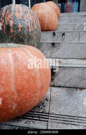 Grandi zucche mature sono disposte verticalmente in una fila sui gradini. Zucca di Halloween Foto Stock