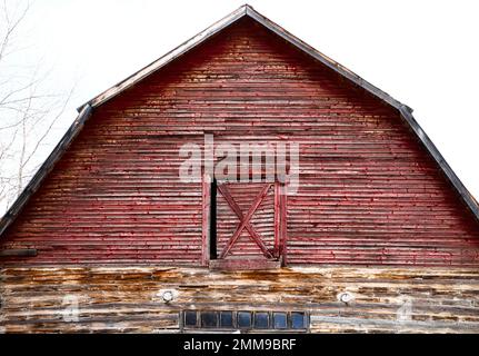 Primo piano dell'esterno, metà superiore di un grande fienile rosso stagionato con una porta al loft e una fila di piccole finestre sporche Foto Stock