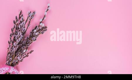 willow rami con tavolo rosa catkins. Foto ad alta risoluzione Foto Stock