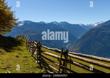 Recinzione in legno sul prato di montagna, sullo sfondo montagne altoatesine, Naturno, Alto Adige, Italia Foto Stock