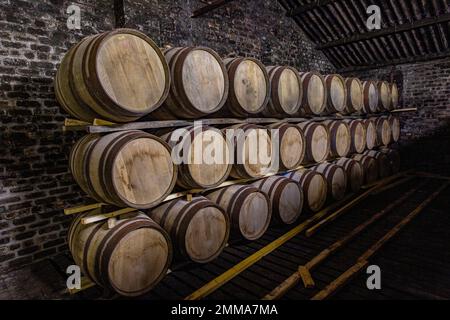 Botti di whisky in un magazzino di distilleria in Scozia Foto Stock