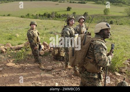 Le squadre di ANGLICO della Riserva Marina di ANGLICO 3, 4 e 6 mantengono le loro qualifiche attraverso un addestramento supplementare a Fort Sill, 27 aprile 2017. Foto Stock