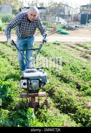 Giardiniere utilizzando coltivatore motorizzato nel suo giardino Foto Stock