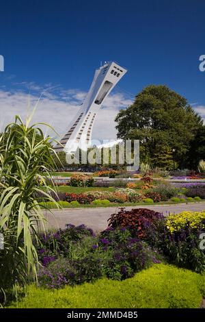 Confini misti con Sedum - Stonecrop, Selenostemon - Coleus nei giardini d'ingresso al Giardino Botanico di Montreal e alla Torre dello Stadio Olimpico in tarda estate. Foto Stock