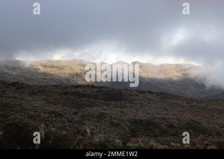 Bellissimo ecosistema paramoico colombiano tramonto dorato ora con pianta di fragole e un grande fascio di sole sulle montagne sullo sfondo Foto Stock