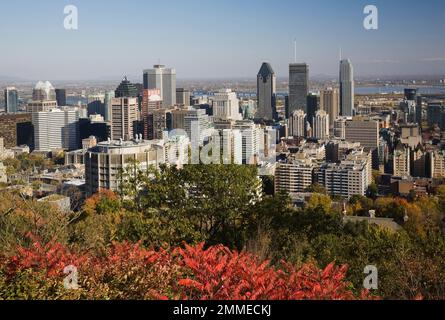 Lo skyline di Montreal prese dal punto panoramico sul Monte Royal Park in autunno, Montreal, Quebec, Canada. Foto Stock